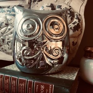 ✅Mirrored OWL bank/home decor or gifts
